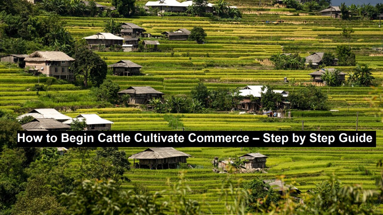 Cultivate Commerce